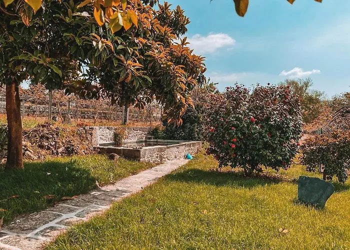 Windmill House Vakantiehuis Santa Maria da Feira